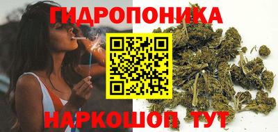 шишки Малоярославец