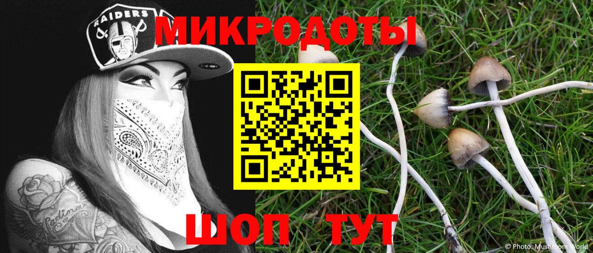 Псилоцибиновые грибы ЛСД Тимашёвск