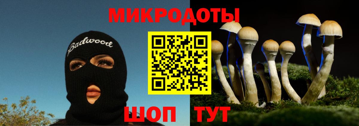 Галлюциногенные грибы Cubensis  цены   Тимашёвск  Вход с VPN 